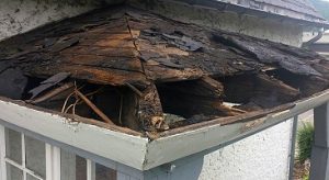Preventing Leaks in Your Home’s Roof