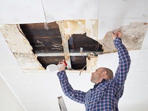 What To Do About a Roof Leak This Fall 