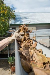 3 Inventive Ways to Keep Your Gutters Clean
